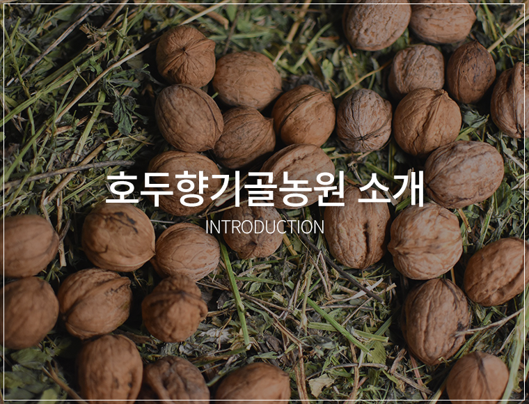 비바리농원소개